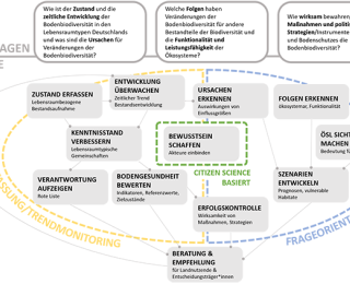 Diese Grafik zeigt die Leitfragen und Ziele des bundesweiten Bodenbiodiversitätsmonitorings. Die Grafik ist in drei Hauptbereiche unterteilt: Leitfragen, sowie Ziele orientiert nach Basisfassung/Trendmonitoring, Frageorientiert und Citizen Science basiert.