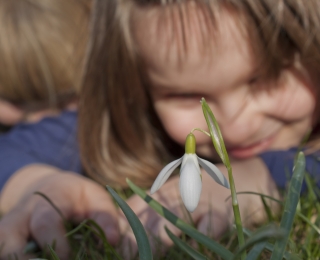 Zwei Kinder betrachten aus nächster Nähe eine Schneeglöckchenblüte im Gras. Beide Kinder sind im Hintergrund unscharf, während die Blume im Vordergrund klar und deutlich sichtbar ist. Die Sonne scheint hell und verleiht der Szene eine frühlingshafte Atmosphäre.